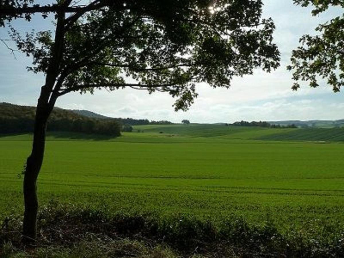 Вілла Feriendorf Sulzfeld Sulzfeld  Екстер'єр фото