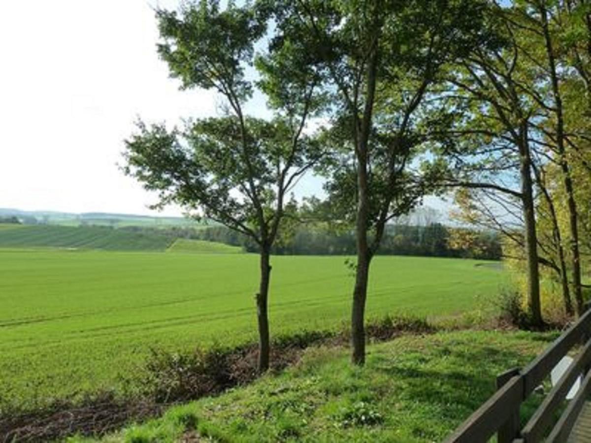 Вілла Feriendorf Sulzfeld Sulzfeld  Екстер'єр фото